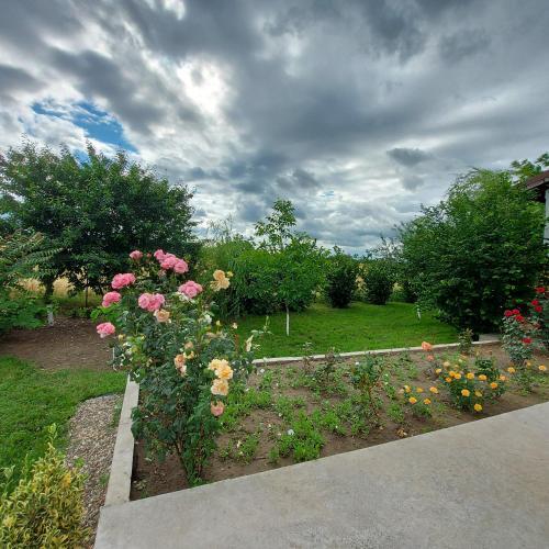 Villa Romelia - 330