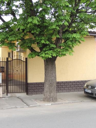 Vis A Vis Studio - 455