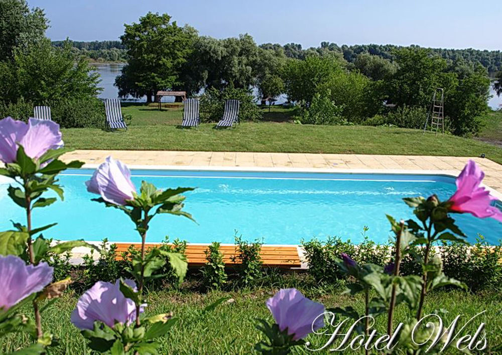 Hotel Wels - 489