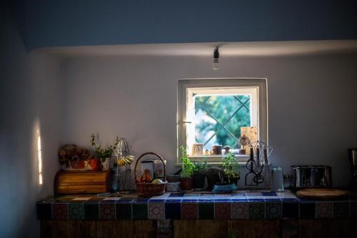 Youthink Hostel - 637