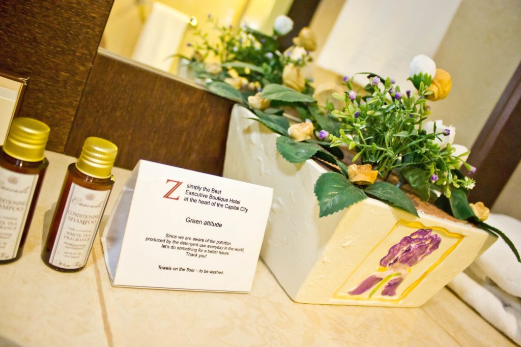 Z Executive Boutique Hotel - 747