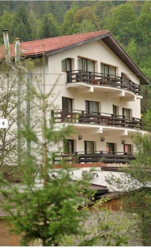 Zan Hotel - 978